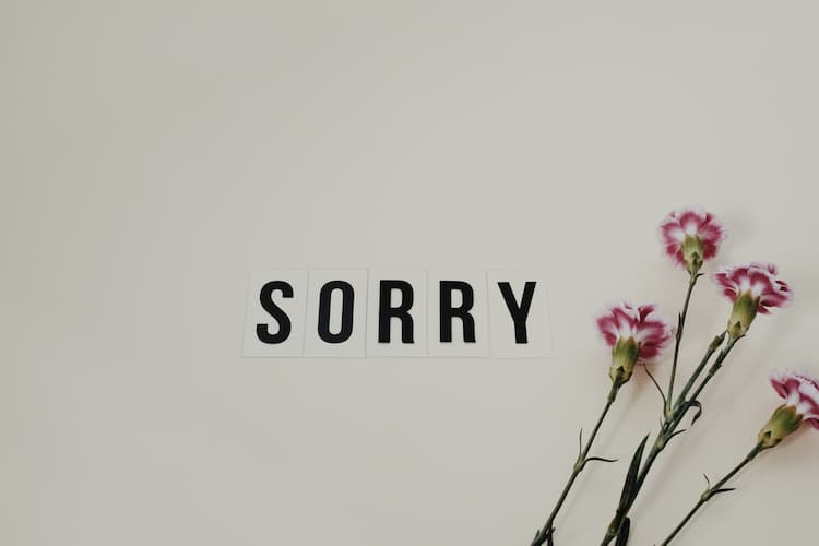 Apology Letters For Her Saying Sorry